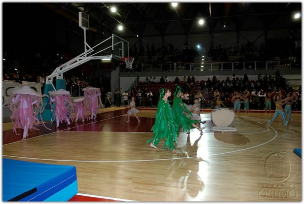 DSC_2549 (Medium).JPG