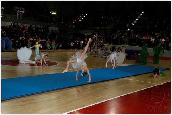 DSC_2551 (Medium).JPG