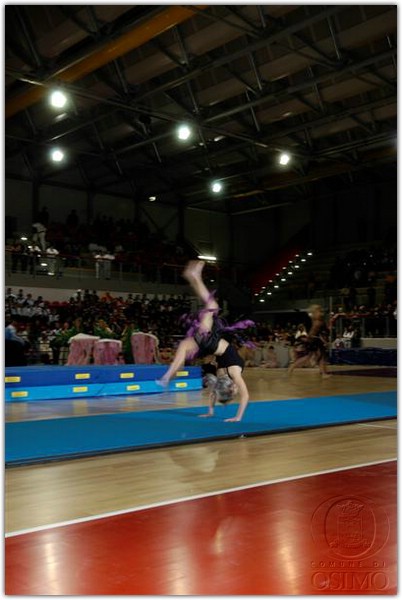 DSC_2563 (Medium).JPG
