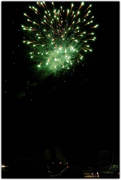 DSC_2579 (Medium).JPG