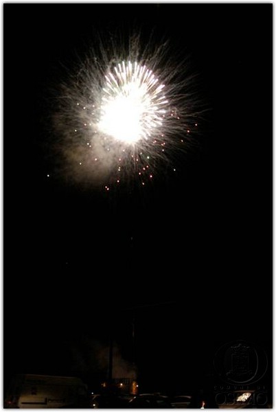 DSC_2585 (Medium).JPG