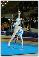DSC_1811 (Medium).JPG