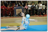 DSC_1825 (Medium).JPG