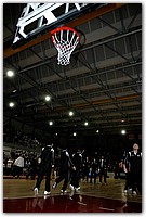 DSC_2537 (Medium).JPG