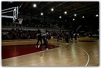 DSC_2538 (Medium).JPG