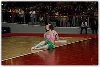DSC_2556 (Medium).JPG