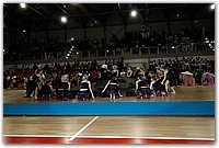 DSC_2558 (Medium).JPG