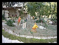 DSC02640.JPG