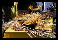 DSC_4616.JPG