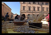 FBS_5594.JPG