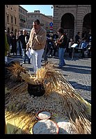 FBS_5724.JPG