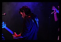 DSC_5231.JPG