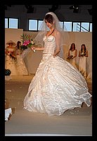 FBS_5674.JPG