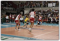 DSC_4411.JPG