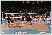 DSC_4425.JPG
