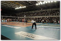 DSC_4427.JPG