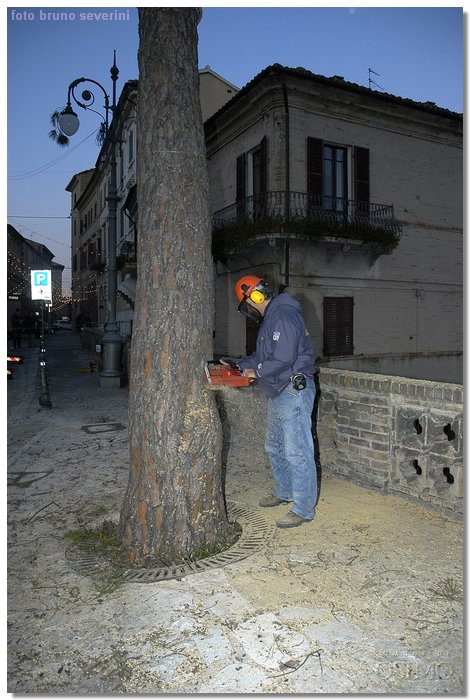 Immagine 119.jpg