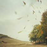 ALLERTA METEO valida 2 ottobre