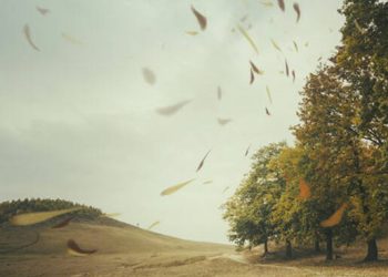 Privato: AVVISO DI CONDIZIONI METEO AVVERSE – Valido il 25/9/2020