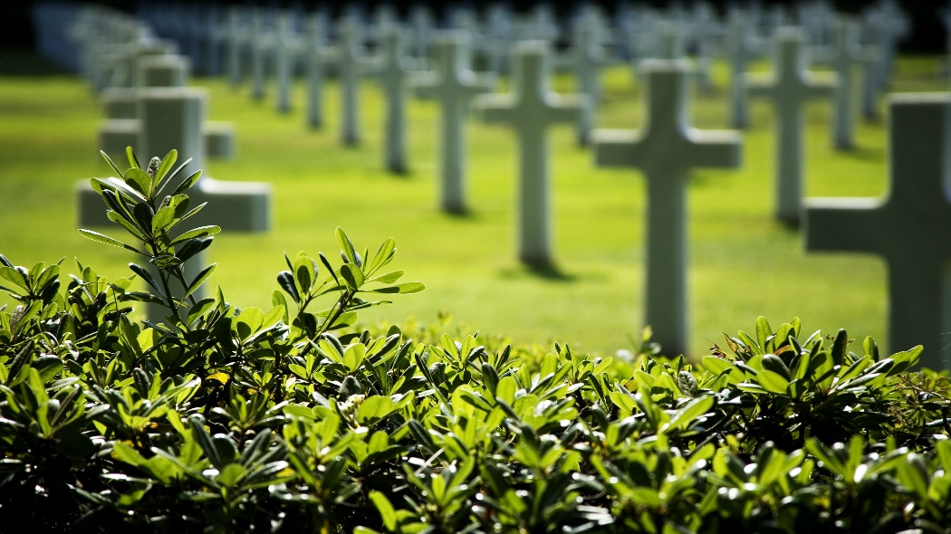 Al momento stai visualizzando MODIFICA ORARIO DI CHIUSURA DEL CIMITERO MAGGIORE