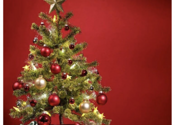 AIDO MARCHE NEWS n. 2 2021