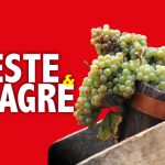 FESTE E SAGRE 2024