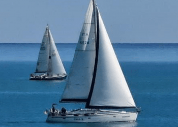 AIDO MARCHE NEWS n.1 2024