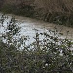 ALLERTA METEO valida 28 marzo