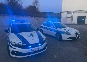 COMUNICATO STAMPA.  Tenta la fuga su un ciclomotore: identificato e denunciato dalla polizia Locale