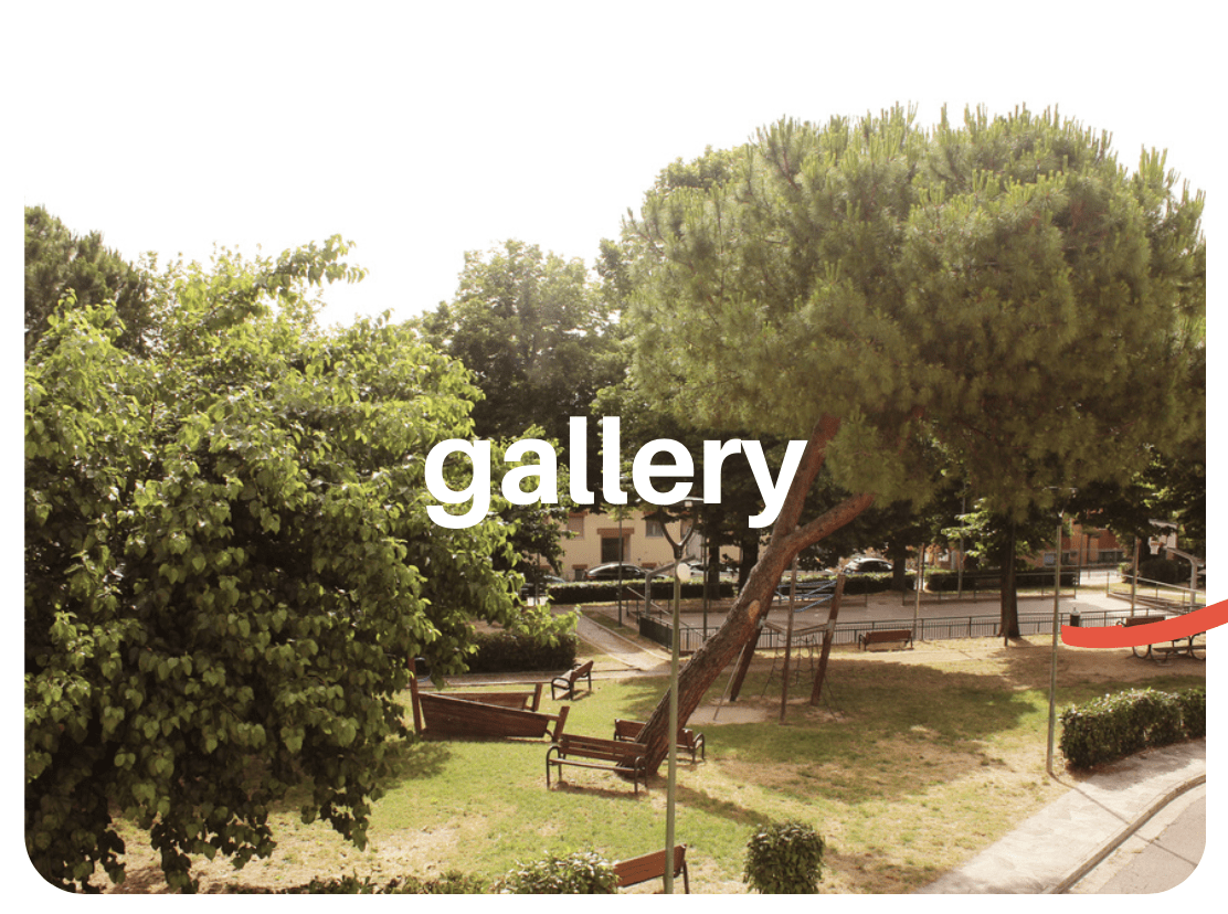 Al momento stai visualizzando GALLERY
