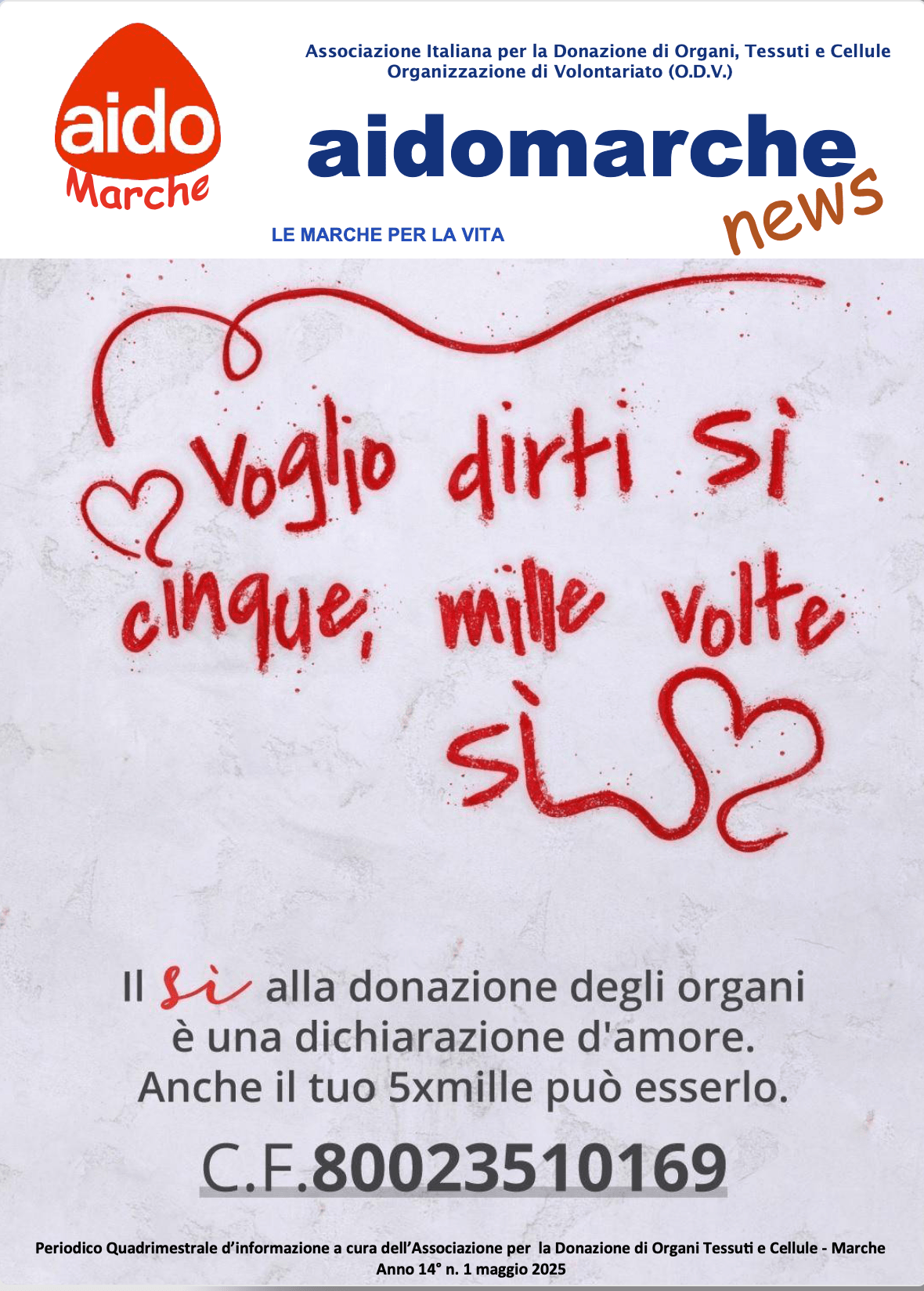 Al momento stai visualizzando Aidomarche news n. 1-2025