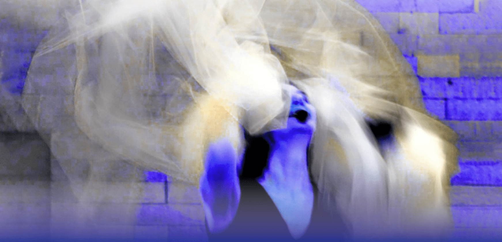 Al momento stai visualizzando IL SILENZIO DELLE SIRENE – 9 agosto