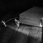 IL TELEFONO DEL VENTO – domenica 9 novembre ore 17.30