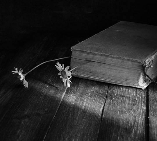 Al momento stai visualizzando IL TELEFONO DEL VENTO – domenica 9 novembre ore 17.30