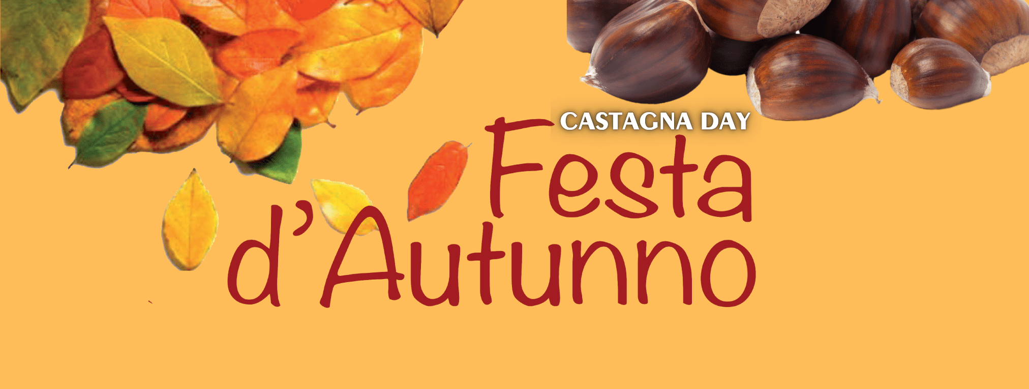 Al momento stai visualizzando FESTA D’AUTUNNO | Castagna Day 24/26 ottobre