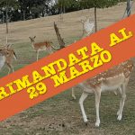 PASSEGGIATE CULTURALI – 15 febbraio “Tra fornace Morando e Santa PaolinaFarm”