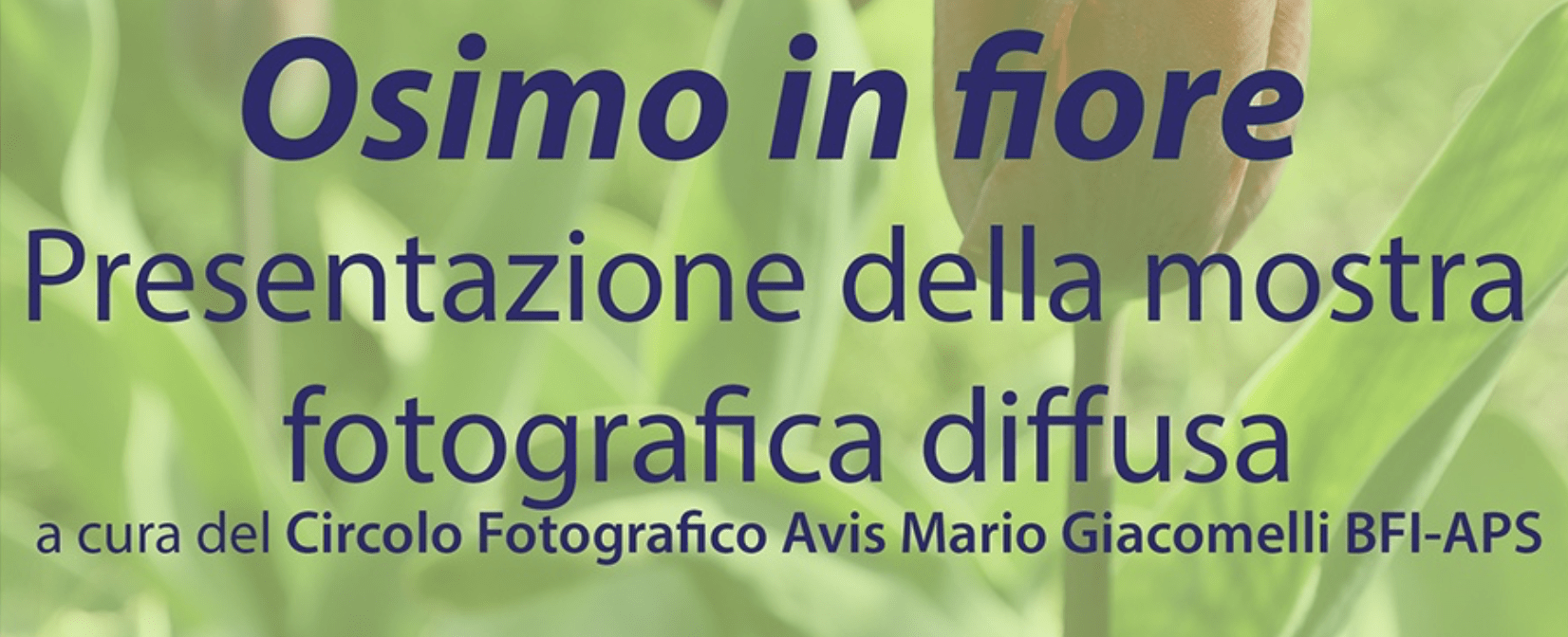 Al momento stai visualizzando MOSTRA FOTOGRAFICA DIFFUSA: PRESENTAZIONE – 22 maggio ore 21.15