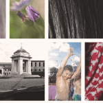 MOSTRA COLLETTIVA: MOSAICO FOTOGRAFICO – 10 agosto