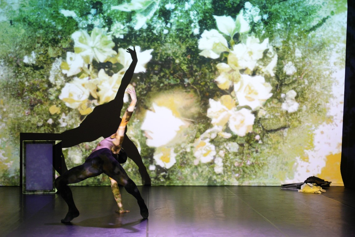 Al momento stai visualizzando OSIMO, “DANCE ME DAY ” – 31 ottobre