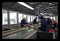 FBS_9106.JPG