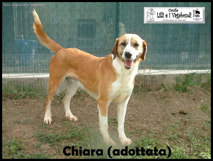 Chiara 1.JPG