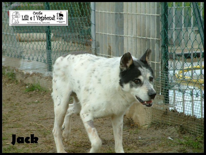 DSCF0028.JPG