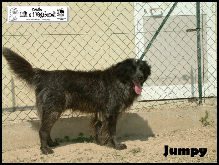 Jumpy 1.JPG