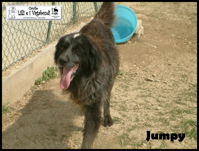 Jumpy.JPG