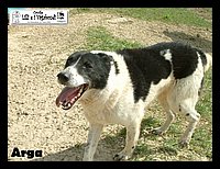 Arga.JPG