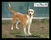 Chiara 1.JPG