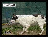 DSCF0021.JPG