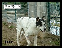 DSCF0028.JPG