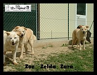 DSCF0034.JPG