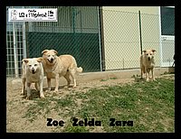 DSCF0035.JPG